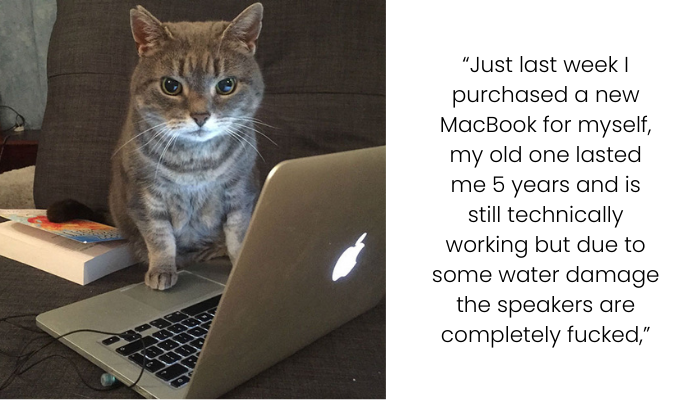 AITA for Letting My Cat Use My Old MacBook Instead of Giving It to My Sister?